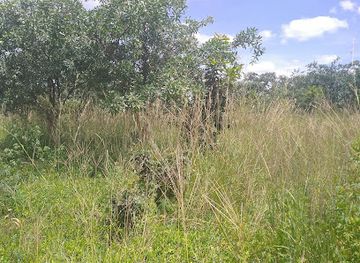 zambia/zambezi-basin/landmark/chongwe-river