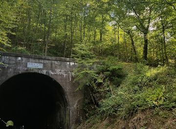 maryland/western-maryland/landmark/borden-tunnel