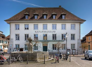 switzerland/solothurn/landmark/museum-of-nature