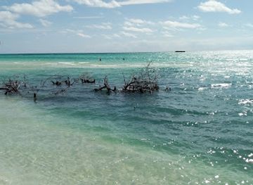 the-bahamas/grand-bahama/landmark/lucayan-national-park