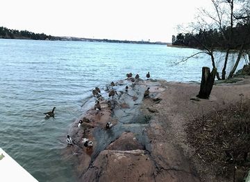 finland/archipelago-sea/landmark/otaniemi-birdwatching-tower