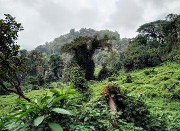 cameroon/bouba-njida-national-park/landmark/mount-cameroon-national-park