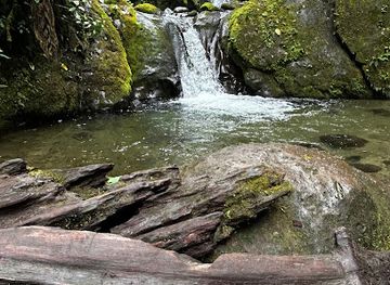 ecuador/mindo/landmark/mindo-cloudforest-foundation