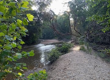 Tuskegee National Forest