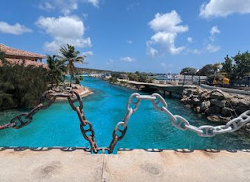 curacao/caracas-bay/landmark/dolphin-academy-curacao