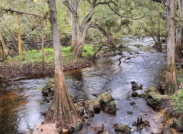 florida/sun-coast/landmark/hillsborough-river-state-park