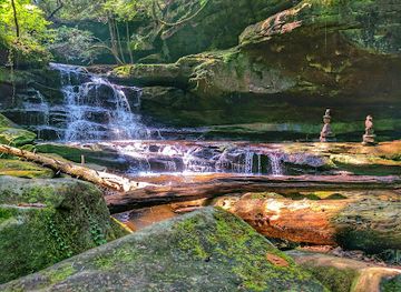 alabama/shoals/landmark/sipsey-wilderness