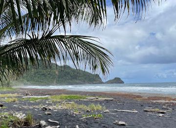 dominica/purple-turtle-beach/landmark/turtle-beach
