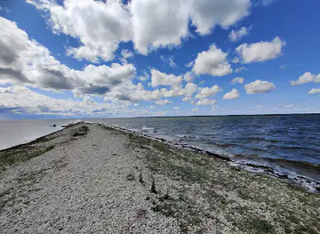 Vaemla villavabrik