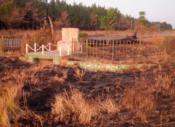 zambia/ndola/kansenshi/landmark/the-big-tree