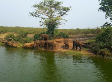 uganda/queen-elizabeth-national-park/landmark/queen-elizabeth-national-park-tourisit-vehicle-for-hire-at-katunguru