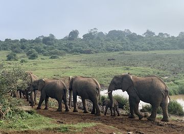 kenya/amboseli-national-park/landmark/aberdare-national-park