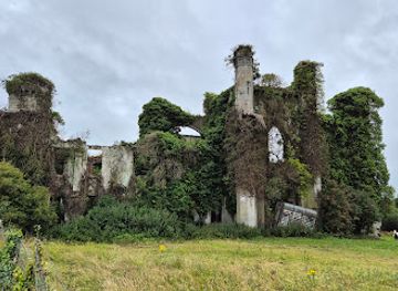ireland/county-westmeath/landmark/moydrum-castle