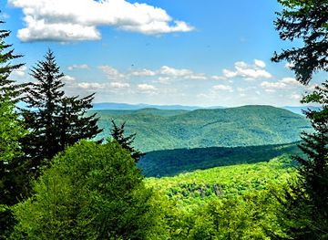 west-virginia/spruce-knob/landmark/red-spruce-knob