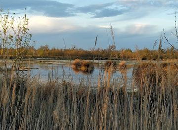 france/camargue/landmark/marshes-nature-reserve-vigueirat