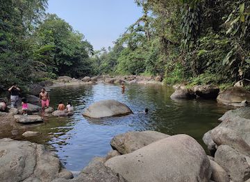 ecuador/santo-domingo-de-los-tsachilas-region/landmark/finca-turistica-a-pata-limpia