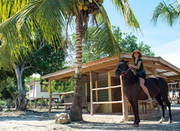 belize/sarteneja/landmark/horse-cottage
