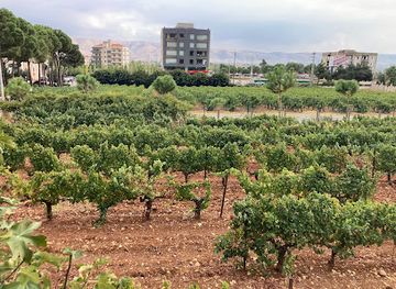 lebanon/bekaa-valley/landmark/chateau-ksara