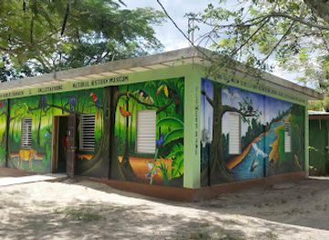 belize/caye-caulker/landmark/community-baboon-sanctuary-visitor-center-and-museum-a-black-howler-monkey-sanctuary