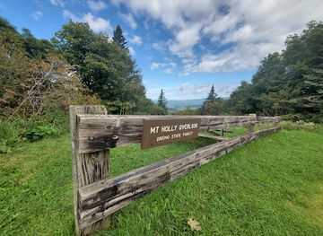 vermont/okemo-mountain-resort/landmark/mount-holly-overlook-on-okemo-state-forest-mountain