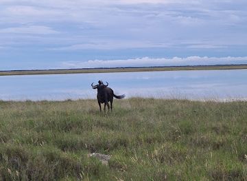 botswana/kgalagadi-transfrontier-park/landmark/nata-bird-sanctuary