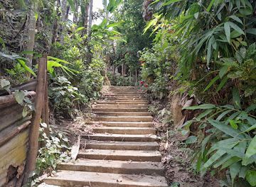 bangladesh/lawachara-national-park/landmark/lauyachara-khasiya-polli