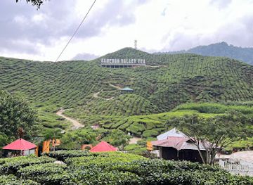 malaysia/cameron-highlands/landmark/cameron-valley-tea-house-1