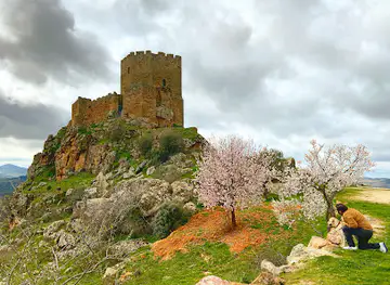 Algoso's Castle