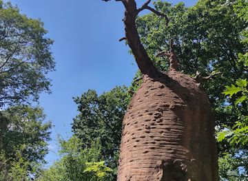 netherlands/veluwe/landmark/apenheul
