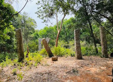 sri-lanka/puttalam-district/landmark/palace-of-queen-kuweni