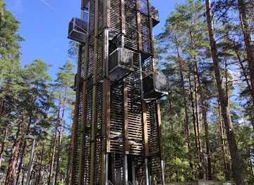 latvia/teici-nature-reserve/landmark/dzintari-forest-park