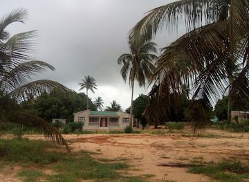 mozambique/sofala-province/landmark/mozambique-channel