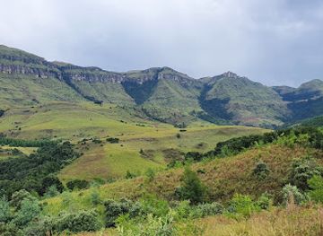 south-africa/drakensberg/landmark/drakensberg-canopy-tour