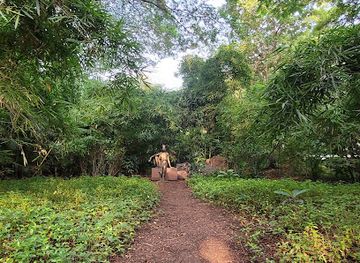 india/pune/koregaon-park/landmark/gautam-buddha-statue
