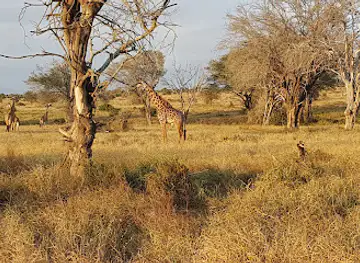 Lumo Community Wildlife Conservancy