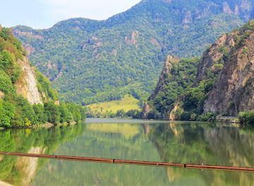 romania/valcea/landmark/cozia-monastery