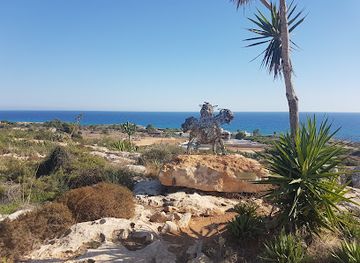 cyprus/makronissos-beach/landmark/parko-kakton-pachyfuton
