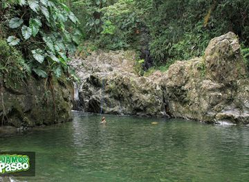 puerto-rico/yunque-national-forest/landmark/charco-frio