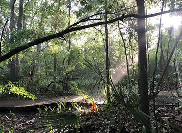 texas/piney-woods/landmark/edith-l-moore-nature-sanctuary