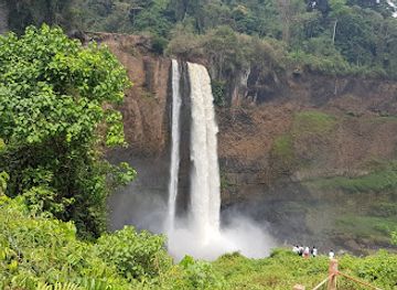cameroon/bamenda/landmark/ekom-nkam-waterfalls