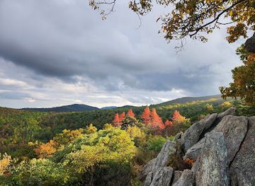 virginia/skyline-drive/landmark/shenandoah-skyline-dr-parkway-southern-terminus
