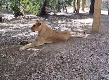 zimbabwe/hwange-national-park/landmark/victoria-falls-crocodile-park