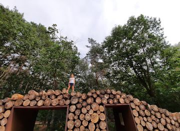 belgium/duchy-of-limburg/landmark/cycling-through-the-trees