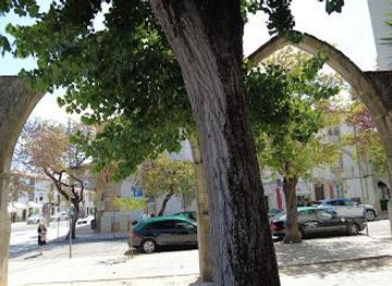 portugal/viseu/landmark/arcos-do-estau