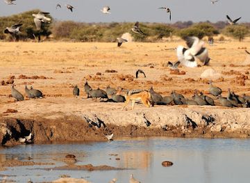 botswana/linyanti-wildlife-reserve/landmark/nxai-pan-national-park