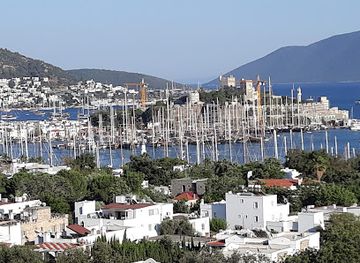 turkiye/bodrum/landmark/yuksel-caglar-hatira-ormani