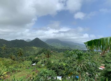 dominica/roseau/landmark/chaudiere-pool