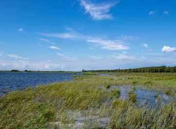 latvia/teici-nature-reserve/landmark/pape-nature-park