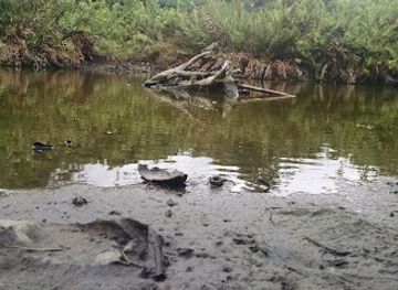 equatorial-guinea/wele-nzas/landmark/benito-river