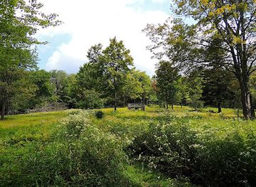 west-virginia/monongahela-national-forest/landmark/cheat-summit-fort